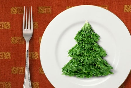 Enjoy a Vegetarian Feast This Holiday Season
