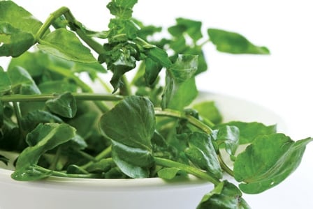Discover the Wonders of Watercress
