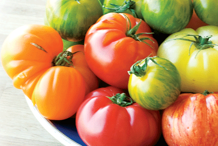 Glorious Tomatoes
